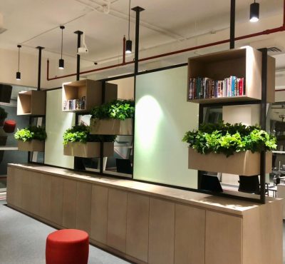 Ajman Bank Head Office