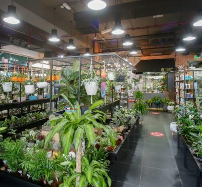 Floral Garden@DIP Dubai